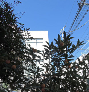 20150327.jpg