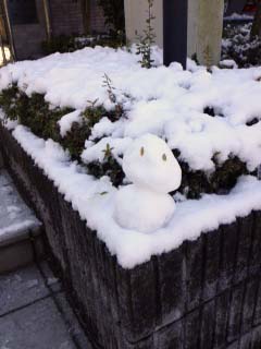 240124snow2.JPG