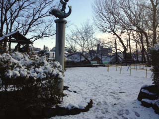 240124snow3.JPG